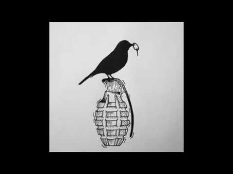 PHUNK D -  PSYCHOTIC RAGE   (195er OnePattern )