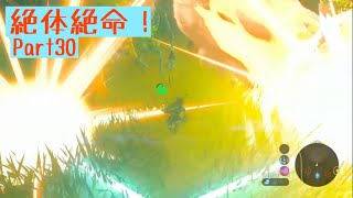 スニーキング！ガーディアンに見つかるな！写し絵巡り編2/12【実況】ゼルダの伝説 BotW Part30