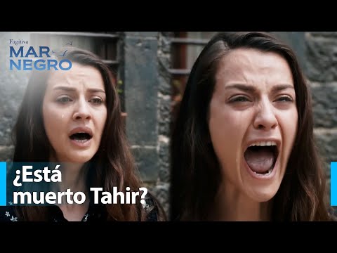 ¡La noticia de la muerte de Tahir devastó a los Kaleli! - Mar Negro Capítulo 56 | Fugitiva