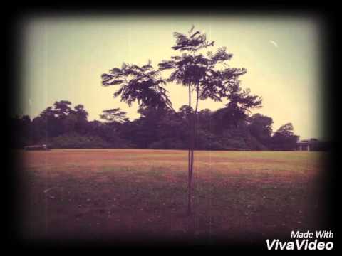 Nay Lynn Aung 2016 memory