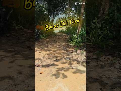 Bocas Del Toro Panama... Paradise🌴❤️☀️