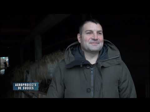 Microferma la Letcani Agroproiecte de succes