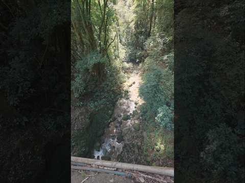 Mal manejo de residuos ganaderos 😷💩 | Río Mastate | Poas de Alajuela #costarica #alajuela #vlog