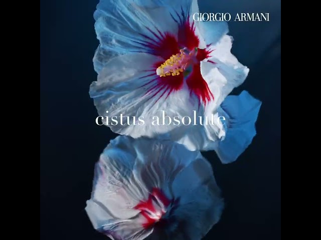 100ML Armani Acqua di Giò Profondo Parfum Parfum Spray  6 of 6 