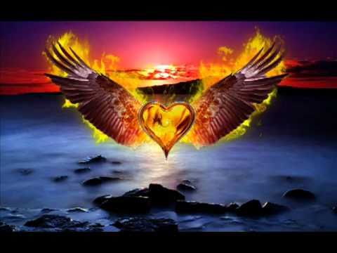 The man of the world