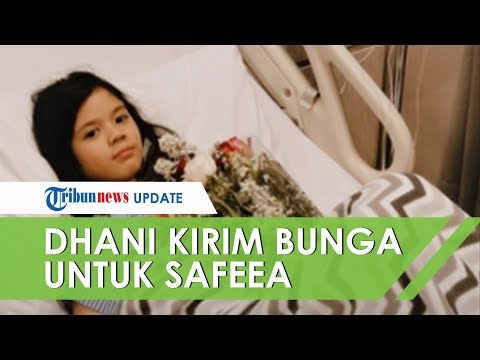 Ahmad Dhani Kirim Buket Bunga untuk Safeea yang Sedang Sakit, Mulan Jameela: Makasih Ayah!