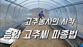 고추씨 파종. 이런 흔한 방식은 바꿔야함. 올해가 마지막이길..