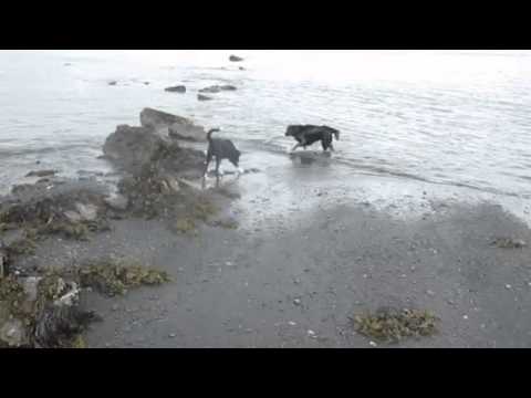 Seward beach trip.....