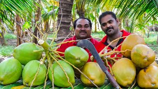 COCONUT PAYASAM | Tender Coconut Payasam | Elaneer Payasam Recipe |  World Food Tube