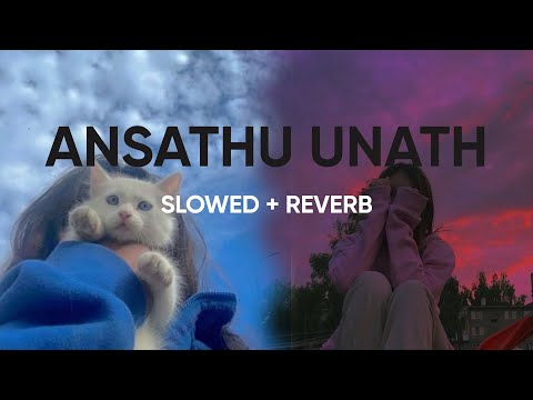 Ansathu Unath | Janith Iddamalgoda | SLOWED + REVERB