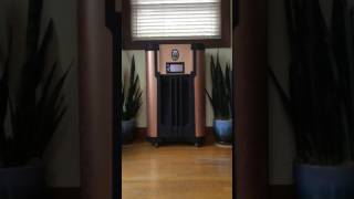 Abby?  Abby Normal. Young Frankenstein