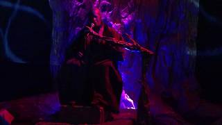 The Butterfly People & The Dreaming Tree (official version)
