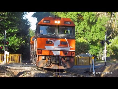 Adelaide Hills Trains - 50 trains in 10 minutes compilation.
