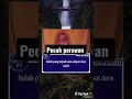 Gambaran Pecah Keperawanan Storywalucu Lucuabis