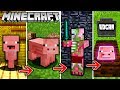 EDGAR LEBENSZYKLUS In Minecraft Vom FERKEL Zum EDGARIANER