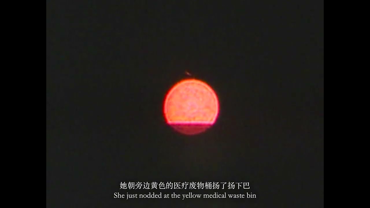 The Chinese Dictionary Video