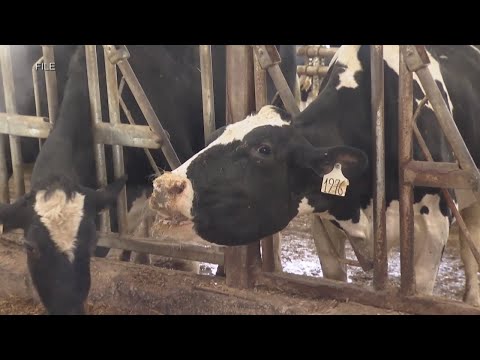 New agreement with European Union a  'Big Win' for the Badger State