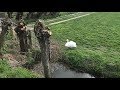 Wie zit er achter de moord op tientallen zwanen in de Alblasserwaard?