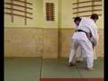 Judo - Takedown ( SUPLEX )