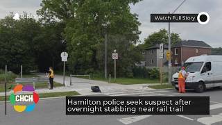 Hamilton police seek suspect after overnight stabbing near rail trail