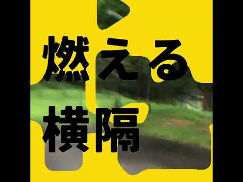 TENEDOR / 暗鳴ニュイ