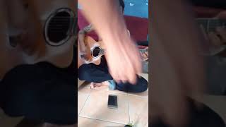 Download lagu pengamen tegal mp3