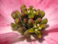 I Wish You Joy.wmv