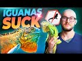 Green Iguanas SUCK! 3 Reasons Why YOU Should Never Get One!