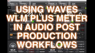 Video thumbnail for Waves WLM Plus Tutorial by Production Expert