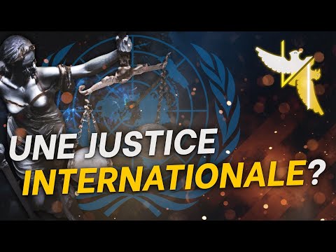 RÈGNE DU DROIT OU LOI DU PLUS FORT ? - Le droit international #1