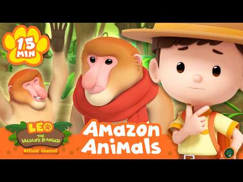 Animals from the AMAZON! Leo the Wildlife Ranger | Educational Animal Cartoons - Kids TV Series, Kingdom Kids Zone - Leo the Wildlife Ranger - Official Channel