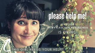 HELP Problems with my Ruby Cascade