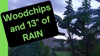 Woodchips: Post-Tropical Storm Disaster or Drainage Dream?