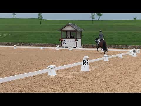 First level test 1 2023 69.4%