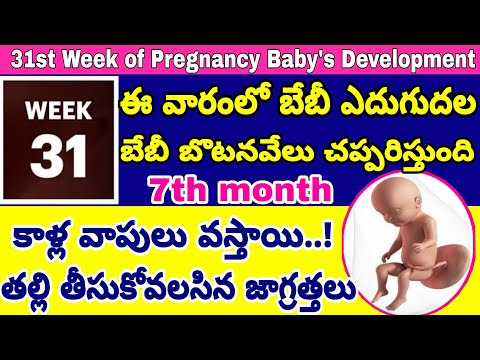 గర్భం 31వ వారం | 31st Week of Pregnancy Symptoms Changes & Baby Development | 31st Week of Pregnancy