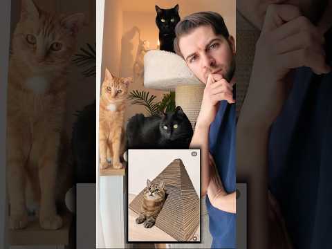 😸 la useranno? Forse l’ho fatta un po’ piccola ma avevo finito il 📦 #cat #tutorial #gatto