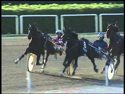 Trotto 07/09/2014 - Corsa 4