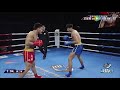 Professional Chinese Sanshou Sanda Kickboxing, 80kg Category (Hosted In China)