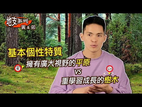 地支寅