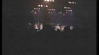 Stool Pigeon - Kid Creole &amp; The Coconuts