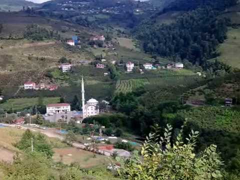 Golkoy Duzyayladir Silam