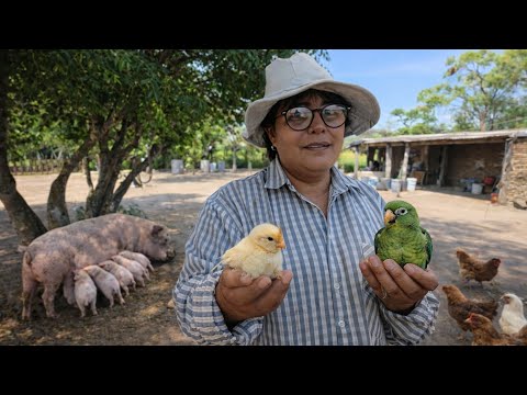 Así es la VIDA de una MUJER del MONTE CHAQUEÑO/ Charata - Chaco