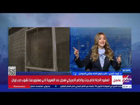 اتحاد منتجي الدواجن: تراجع الأسعار يحقق مكاسب للمستهلك ويكبّد المنتجين خسائر كبيرة 
