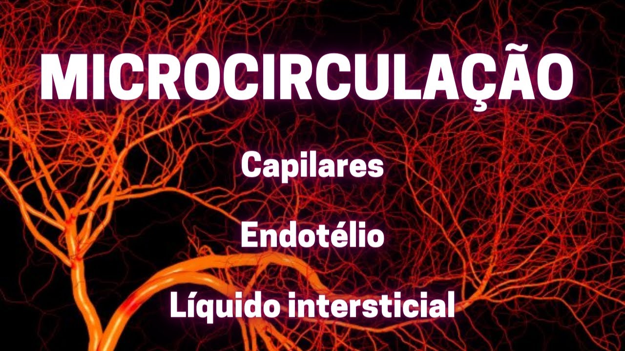 Microcirculação (vênulas, capilares e líquido intersticial) – Fisiologia Humana