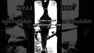 Download lagu Pertanyaan Malaikat di Dalam Kubur. #allah #islam #muhammad mp3