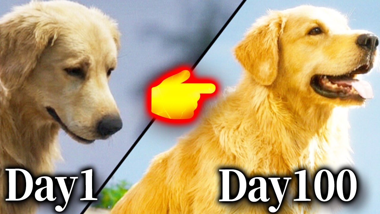 🔴【Restore Your Island】絶対絶命のゴミだらけの無人島から男1人と犬１匹が億万長者になるサバイバルゲームを完全初見でコメ全部読み配信【実況/Vtuber/初見歓迎/初見大歓迎】