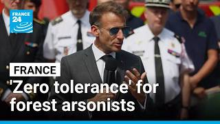 Macron pledges zero tolerance for arsonists after Fontainebleau wildfire destroys 2,000 hectares
