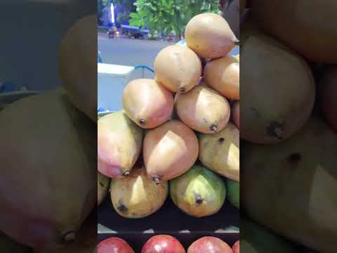 Mango 🥭🥭🥭#Shorts#Indian Summer Fruits