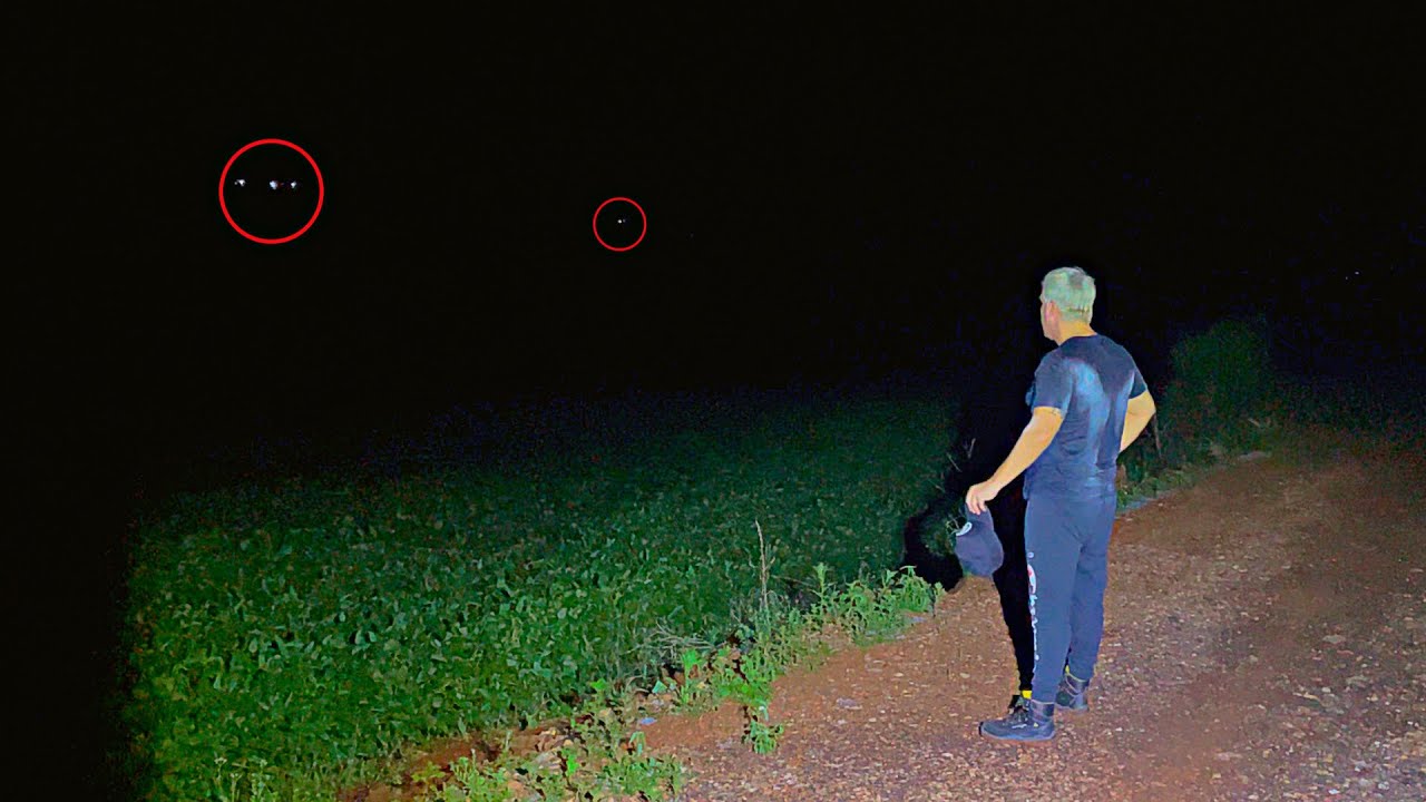 OVINI DESCONHECIDO CAI EM PLANTAÇÃO DE SOJA GRAVAMOS TUDO