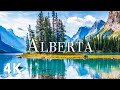 Alberta 4K Drone Nature Film - Calming Piano Music - Beautiful Nature